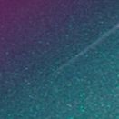 Caméléon Vert foncé / Violet