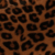 Leopard Marron